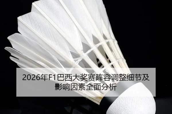 nian-ba-xi-da-jiang-sai-zhen-rong-tiao-zheng-xi-jie-ji-ying-xiang-yin-su-quan-mian-fen-xi-2-822.jpg