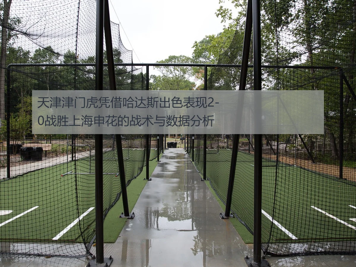 天津津门虎凭借哈达斯出色表现2-0战胜上海申花的战术与数据分析